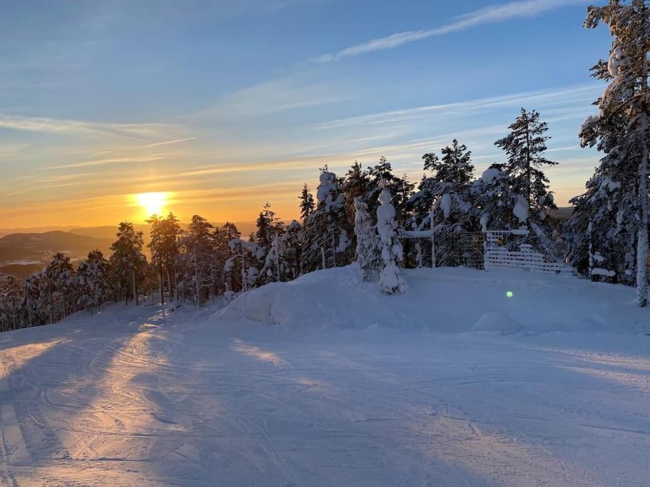 Modern Stuga Med Ski Lodge Kaensla Jarvso Bagian luar foto
